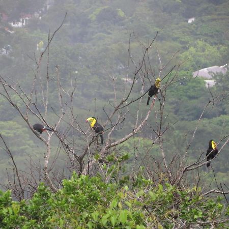 Ziruma El Valle de Anton Luaran gambar